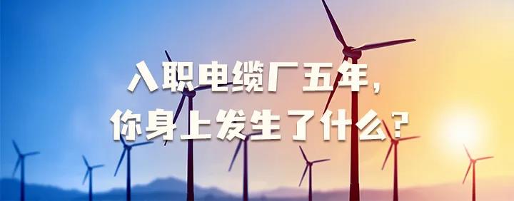 入職電纜廠五年，你身上發(fā)生了哪些變化~